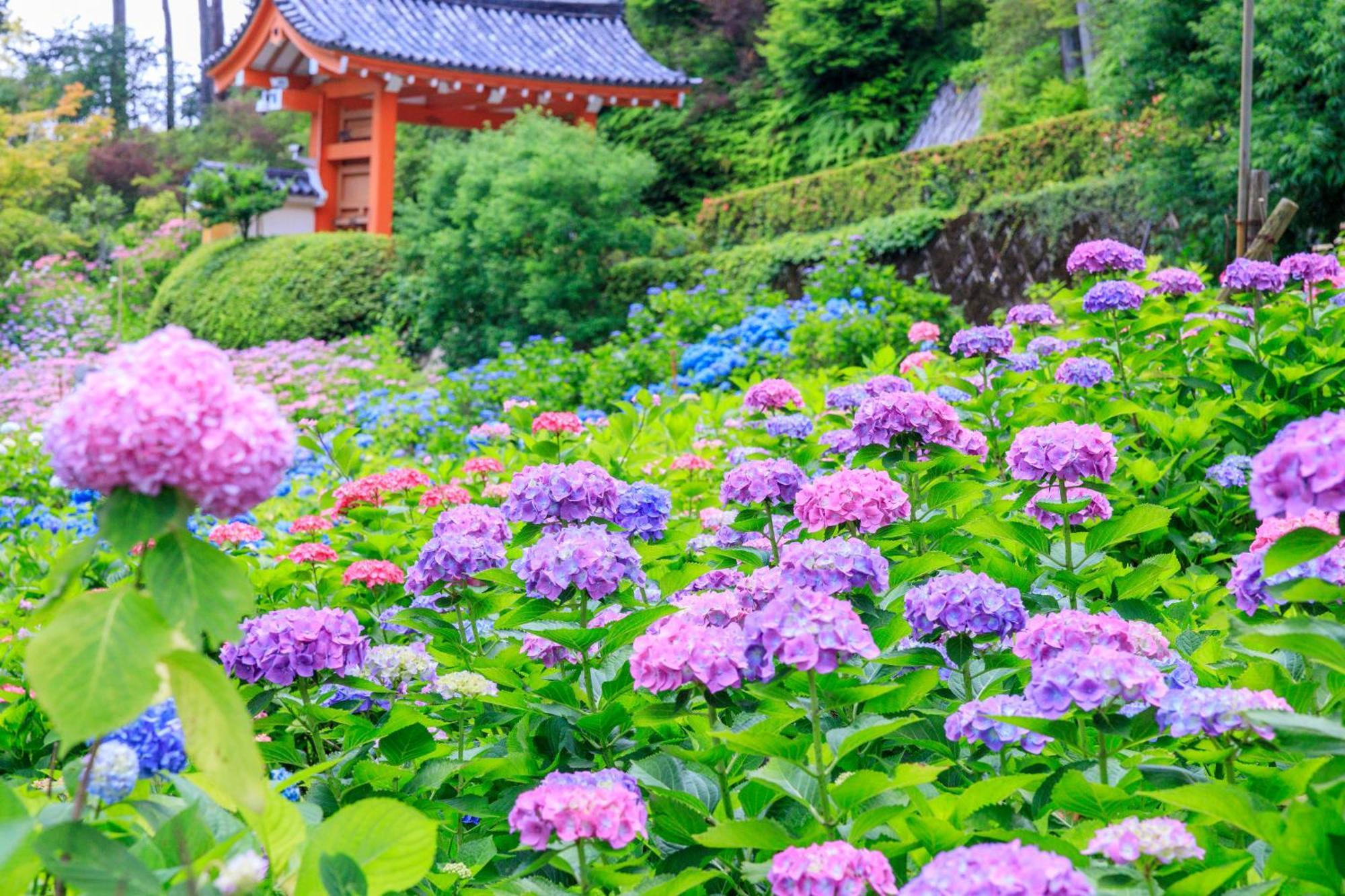 Mimaru Suites Kyoto Shijo Ngoại thất bức ảnh